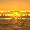 История и происхождение фамилии Галия: узнайте значение и особенности склонения