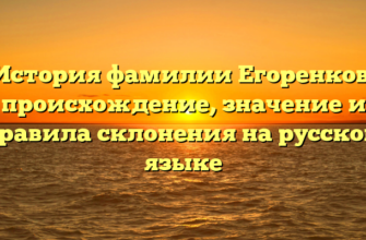 История фамилии Егоренков: происхождение, значение и правила склонения на русском языке История фамилии Егоренков: происхождение, значение и правила склонения на русском языке