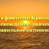 История фамилии Кувшинский: происхождение, значение и правильное склонение