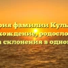 История фамилии Кульбида: происхождение, родословная и правила склонения в одной статье