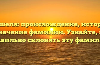 Кошеля: происхождение, история и значение фамилии. Узнайте, как правильно склонять эту фамилию.