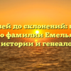 От корней до склонений: полный гайд по фамилии Емельяненко для истории и генеалогии