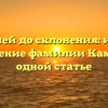 От корней до склонения: история и значение фамилии Камилы в одной статье