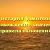Полная история фамилии Кокко: происхождение, значение и правила склонения