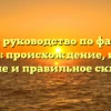 Полное руководство по фамилии Камлин: происхождение, история, значение и правильное склонение