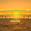 Полное руководство по фамилии Кирюшкина: происхождение, история и склонение на русском языке