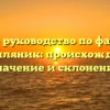 Полное руководство по фамилии Конопляник: происхождение, значение и склонение