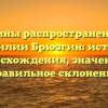 Причины распространенности фамилии Брюзгин: история происхождения, значение и правильное склонение