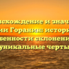 Происхождение и значение фамилии Горанин: история рода, особенности склонения и уникальные черты