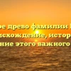 Родовое древо фамилии Кокот: происхождение, история и склонение этого важного имени