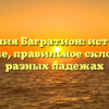 Фамилия Багратион: история и значение, правильное склонение в разных падежах