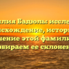 Фамилия Бадюль: исследуем происхождение, историю и значение этой фамилии и разбираем ее склонение