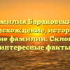 Фамилия Бараковский: происхождение, история и значение фамилии. Склонение и интересные факты