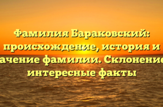 Фамилия Бараковский: происхождение, история и значение фамилии. Склонение и интересные факты