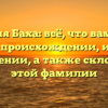 Фамилия Баха: всё, что вам нужно знать о происхождении, истории и значении, а также склонении этой фамилии