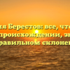 Фамилия Берестов: все, что нужно знать о происхождении, значении и правильном склонении