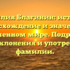 Фамилия Благинин: история, происхождение и значение в современном мире. Подробный обзор склонения и употребления фамилии.