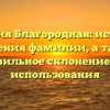 Фамилия Благородная: история и значения фамилии, а также правильное склонение для использования
