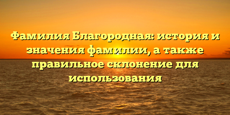 Фамилия Благородная: история и значения фамилии, а также правильное склонение для использования