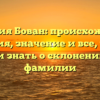 Фамилия Бован: происхождение, история, значение и все, что вы хотели знать о склонении этой фамилии