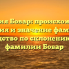 Фамилия Бовар: происхождение, история и значение фамилии. Руководство по склонению вашей фамилии Бовар
