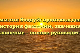 Фамилия Бовдуй: происхождение и история фамилии, значения и склонение – полное руководство Фамилия Бовдуй: происхождение и история фамилии, значения и склонение – полное руководство