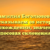 Фамилия Боголюбовы: рассказываем об истории, происхождении, значении и способах склонения!