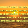 Фамилия Бодек: исследуем происхождение, историю и значение фамилии и узнаем, как правильно склонять в прошлом и настоящем времени
