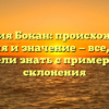 Фамилия Бокан: происхождение, история и значение — все, что вы хотели знать с примерами склонения