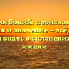 Фамилия Бокий: происхождение, история и значение — всё, что вы хотели знать о склонении этого имени