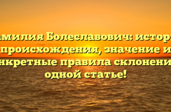 Фамилия Болеславович: история происхождения, значение и конкретные правила склонения в одной статье! Фамилия Болеславович: история происхождения, значение и конкретные правила склонения в одной статье!