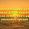 Фамилия Бондарук: история происхождения, значение и правила склонения в разных языковых средах