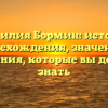 Фамилия Бормин: история происхождения, значения и склонения, которые вы должны знать