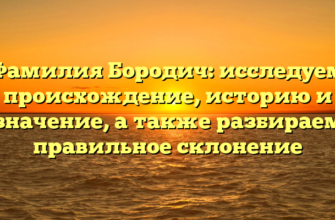 Фамилия Бородич: исследуем происхождение, историю и значение, а также разбираем правильное склонение
