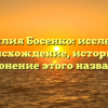 Фамилия Босенко: исследуем происхождение, историю и склонение этого названия