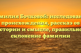 Фамилия Бочковой: исследование происхождения, рассказ об истории и смысле, правильное склонение фамилии Фамилия Бочковой: исследование происхождения, рассказ об истории и смысле, правильное склонение фамилии