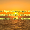 Фамилия Бриммерберг: история, происхождение, значение и склонение — всё о фамилии!
