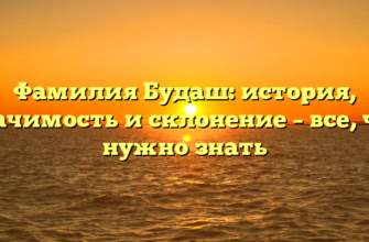 Фамилия Будаш: история, значимость и склонение – все, что нужно знать Фамилия Будаш: история, значимость и склонение – все, что нужно знать