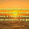 Фамилия Будников: исследуем происхождение, историю и значения, а также узнаем, как правильно склонять эту фамилию.