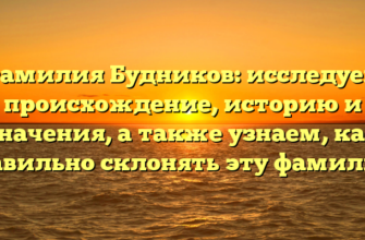 Фамилия Будников: исследуем происхождение, историю и значения, а также узнаем, как правильно склонять эту фамилию.