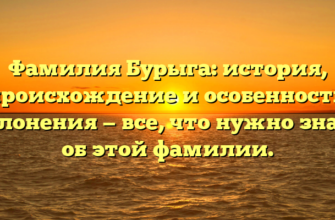 Фамилия Бурыга: история, происхождение и особенности склонения — все, что нужно знать об этой фамилии. Фамилия Бурыга: история, происхождение и особенности склонения — все, что нужно знать об этой фамилии.