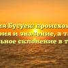 Фамилия Бусуек: происхождение, история и значение, а также правильное склонение в таблице