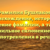 Фамилия Бушлаков: происхождение, история и значение фамилии, а также правильное склонение для употребления в речи