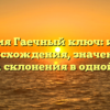 Фамилия Гаечный ключ: история происхождения, значение и правила склонения в одной статье.