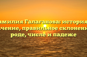 Фамилия Галаганова: история и значение, правильное склонение в роде, числе и падеже Фамилия Галаганова: история и значение, правильное склонение в роде, числе и падеже