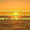 Фамилия Гацолаева: родословная, история и особенности склонения – обзор от профессионалов