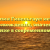 Фамилия Гибельгаус: история происхождения, значение и склонение в современном языке