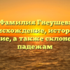 Фамилия Гнеушев: происхождение, история и значение, а также склонение по падежам