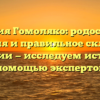 Фамилия Гомоляко: родословная, значения и правильное склонение фамилии — исследуем историю с помощью экспертов