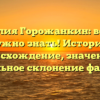 Фамилия Горожанкин: все, что нужно знать! История, происхождение, значение и правильное склонение фамилии